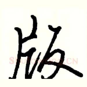 版