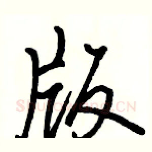 版