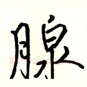 腺