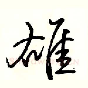 雄