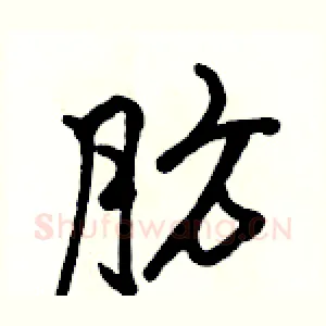 肪