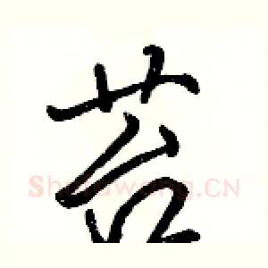 苔