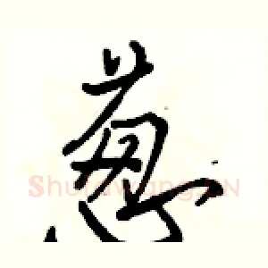 葱