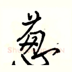 葱