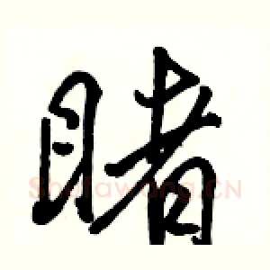 睹