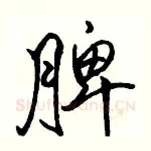 脾