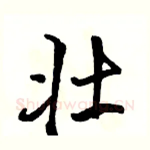 壮
