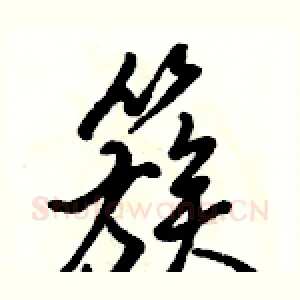 簇