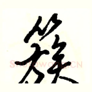 簇