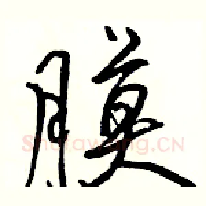 膜