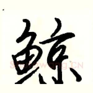鲸