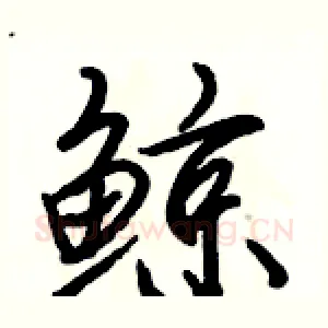 鲸