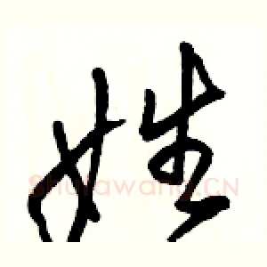 姓