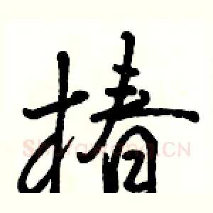 椿