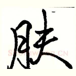 肤