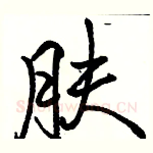 肤