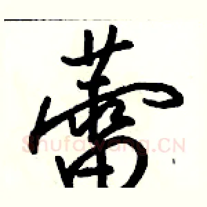 蕾