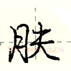 肤