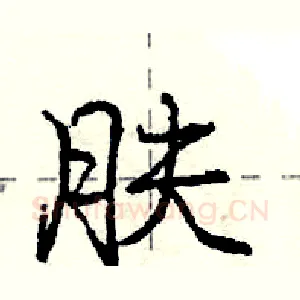 肤