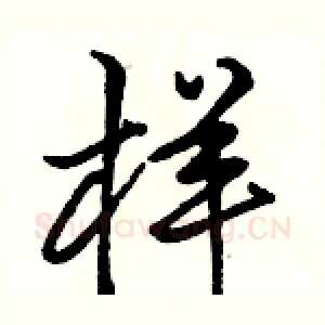 样