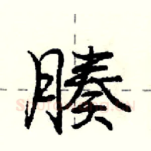 腠