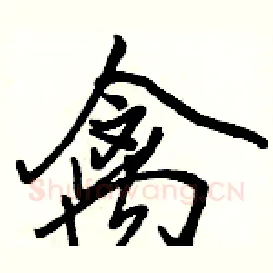 禽