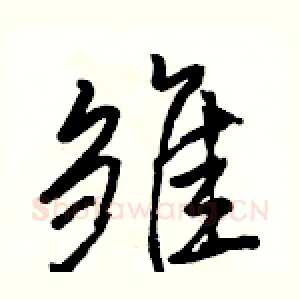 雏