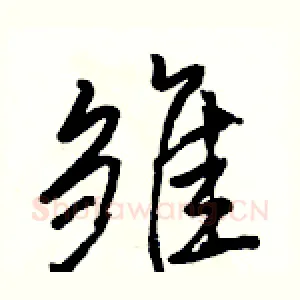 雏