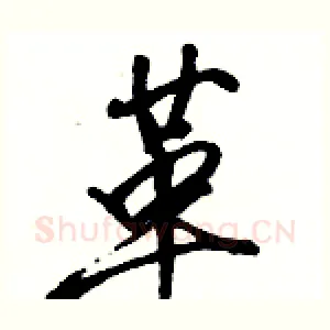 革