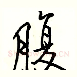 腹