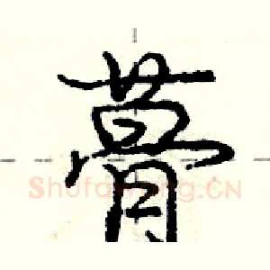 蓇