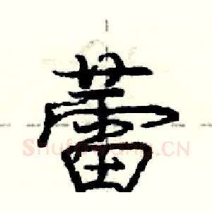 蕾