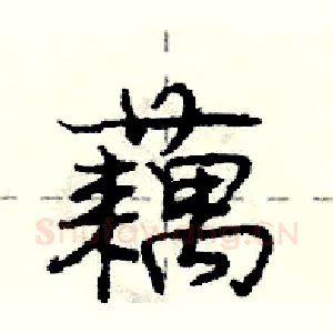 藕