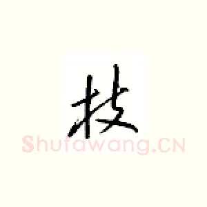 枝