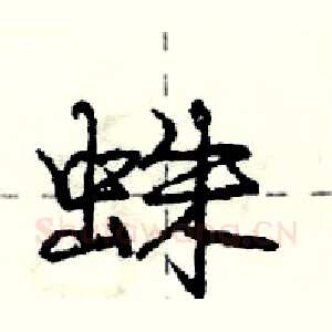 蛛