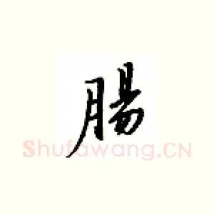 肠