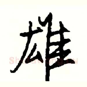 雄