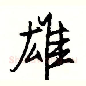 雄
