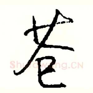 苍
