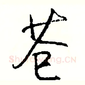 苍