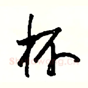 杯