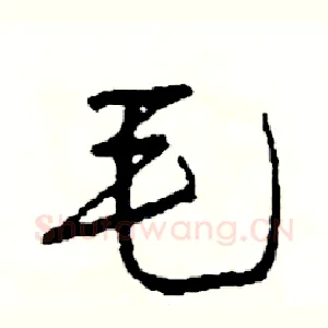毛