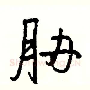 胁