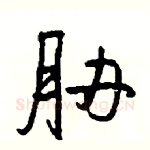 胁