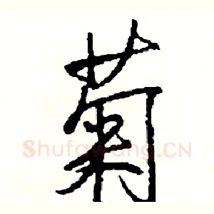菊