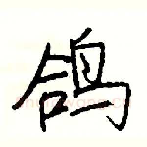 鸽