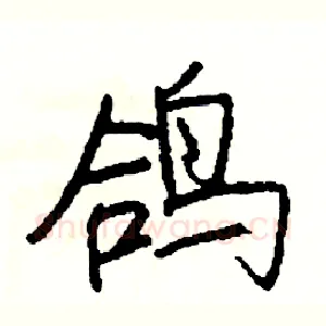鸽