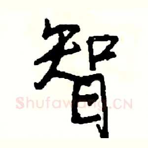智