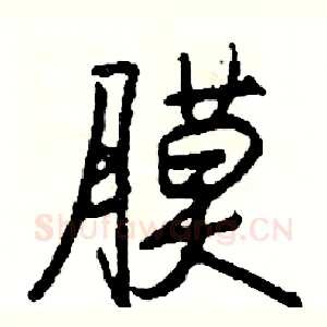 膜
