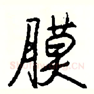膜